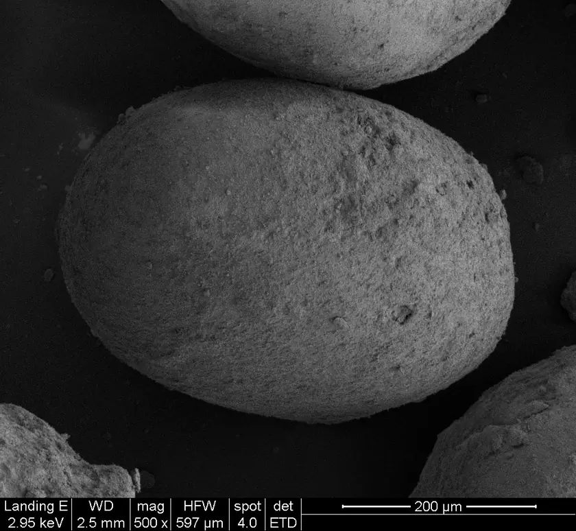 Scanning electron micrograph of a single Bahamian ooid, a rounded, layer-built grain of oolitic aragonite. The instrument data bar reads 500x magnification with a 200 micrometer scale bar.